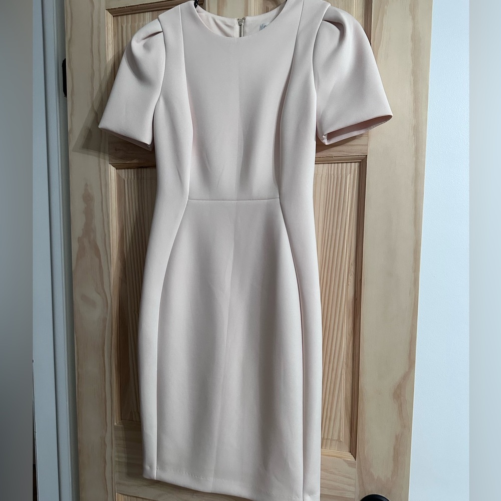 Calvin Klein Short Sleeve Sheath Dress (Pink)